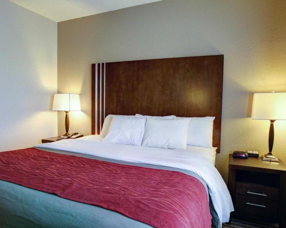 Comfort Inn & Suites Navasota Exterior photo