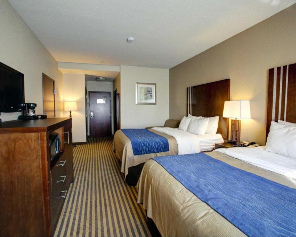 Comfort Inn & Suites Navasota Exterior photo